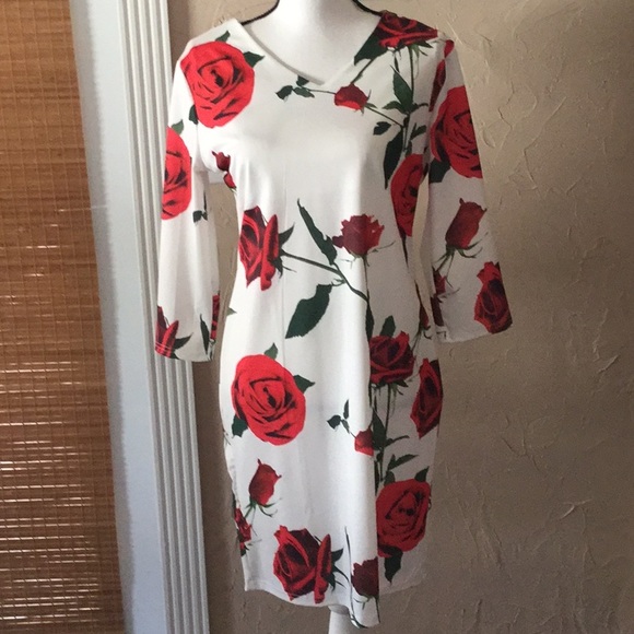 Dresses & Skirts - Rose Print Dress.  Size L.  NEW